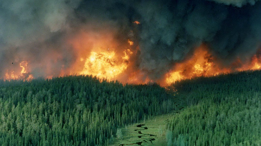 உங்களுக்கான கனவுகளும் பலன்களும் பகுதி 63 8 Climate change means more forest fires in Ontario. Here's why | TVO.org