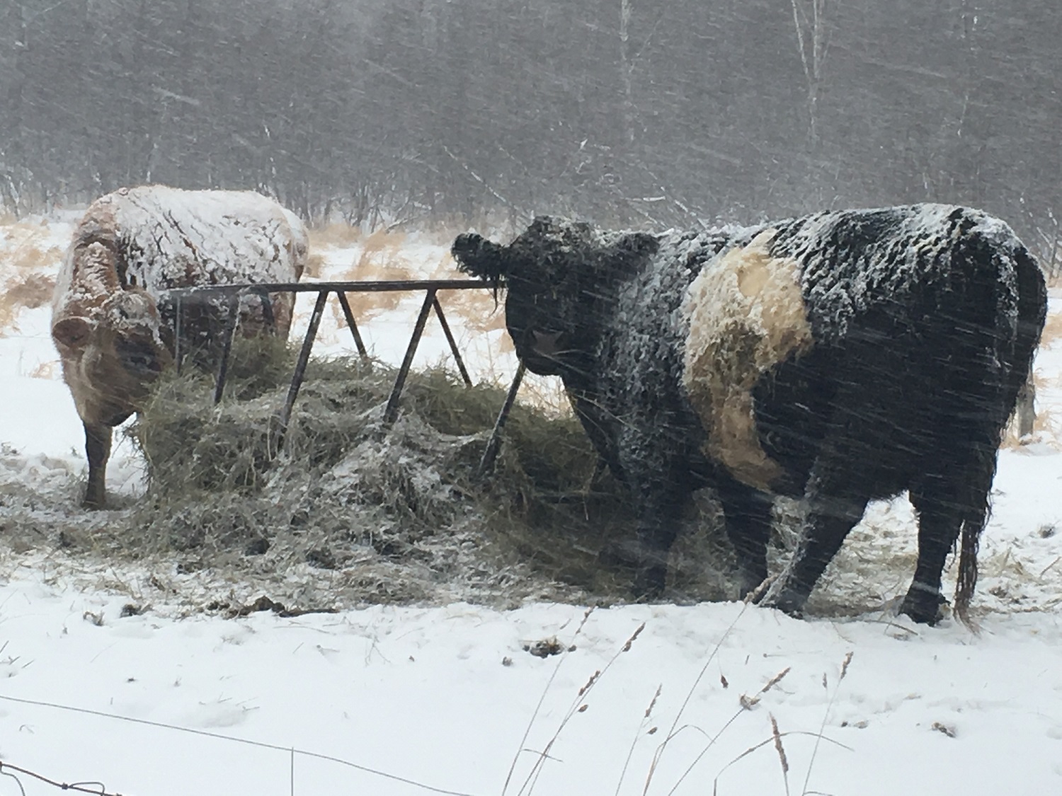 Ontario Farmers Are Fighting For Mental Health Support Tvo Org