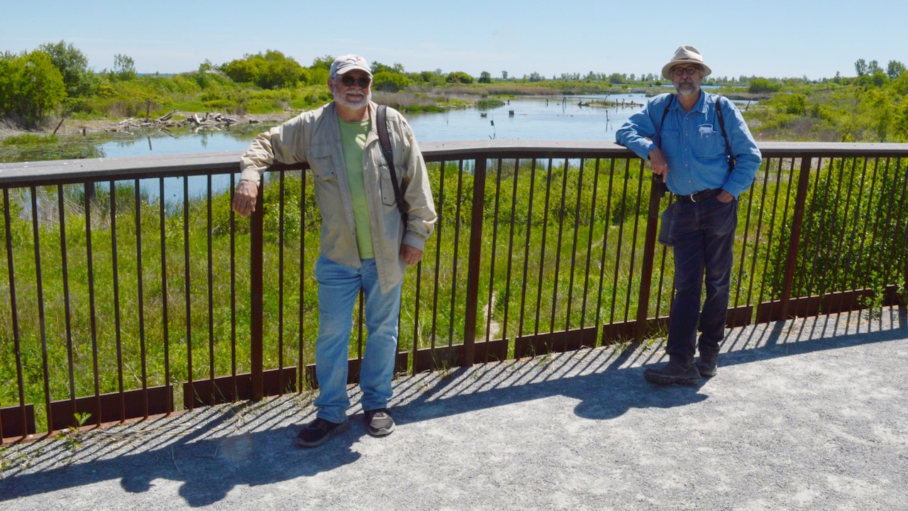 In the wilds of Toronto: The fight to let nature reign on the Leslie ...