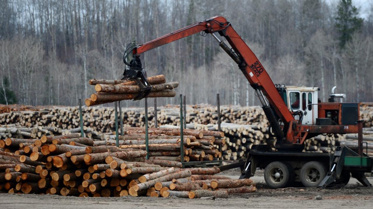 Why the U.S. has Canada’s lumber industry shaking like a leaf