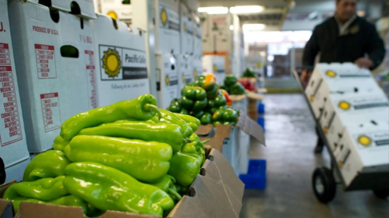 The Tories make the right call on the Ontario Food Terminal